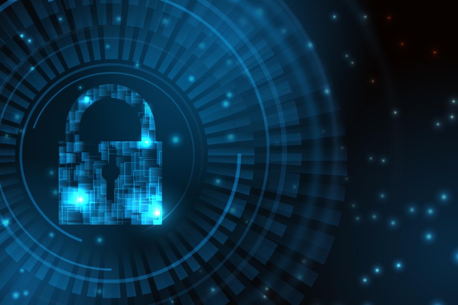 usuarios seguros wordpress